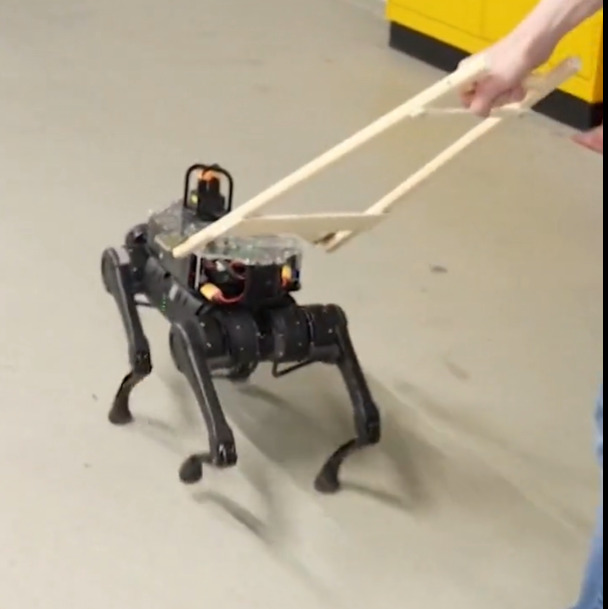 În curând, roboții le vor fura joburile și câinilor / Câinele-robot care „vorbește” cu utilizatorul orb