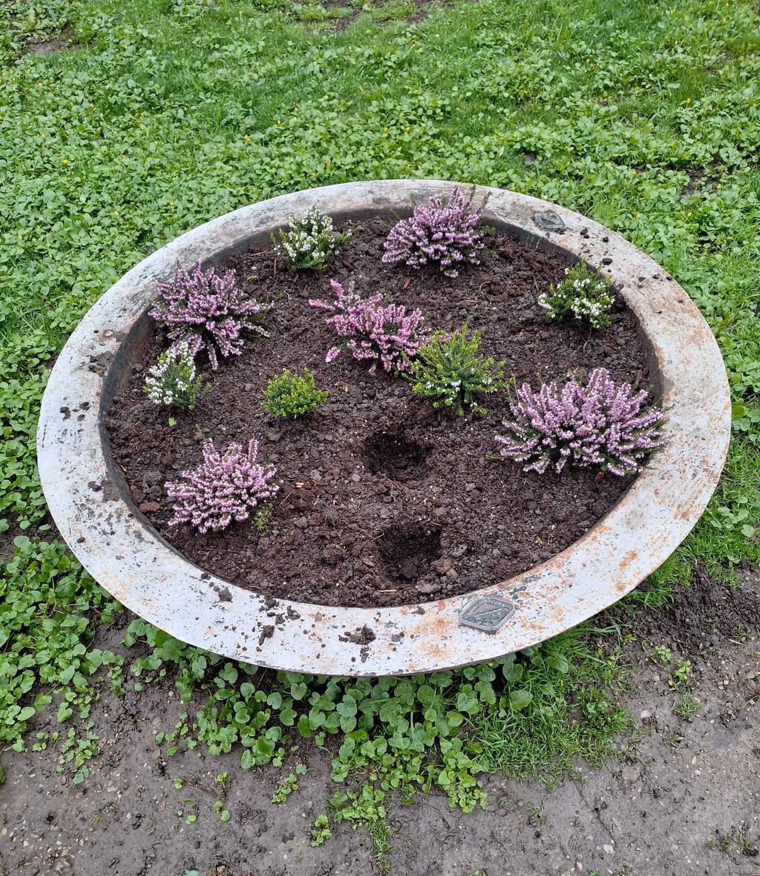 Florile din Parcul Chișmigiu, păzite de polițiști locali