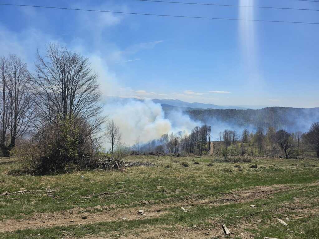 Incendiu de vegetație, întețit în județul Hunedoara din cauza vântului puternic. Pompierii intervin