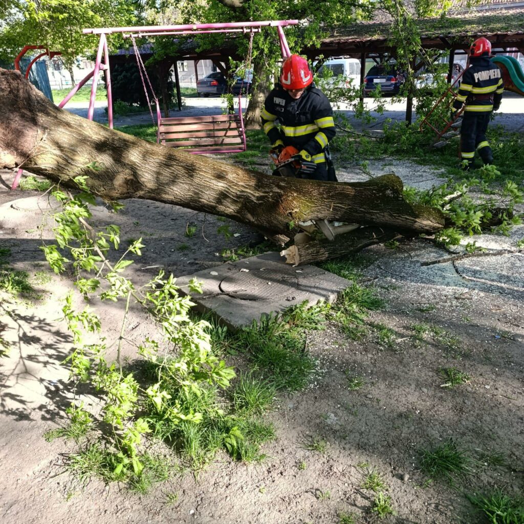 IGSU: Un mort și trei răniți. Vântul puternic de duminică a afectat 72 de localități din țară