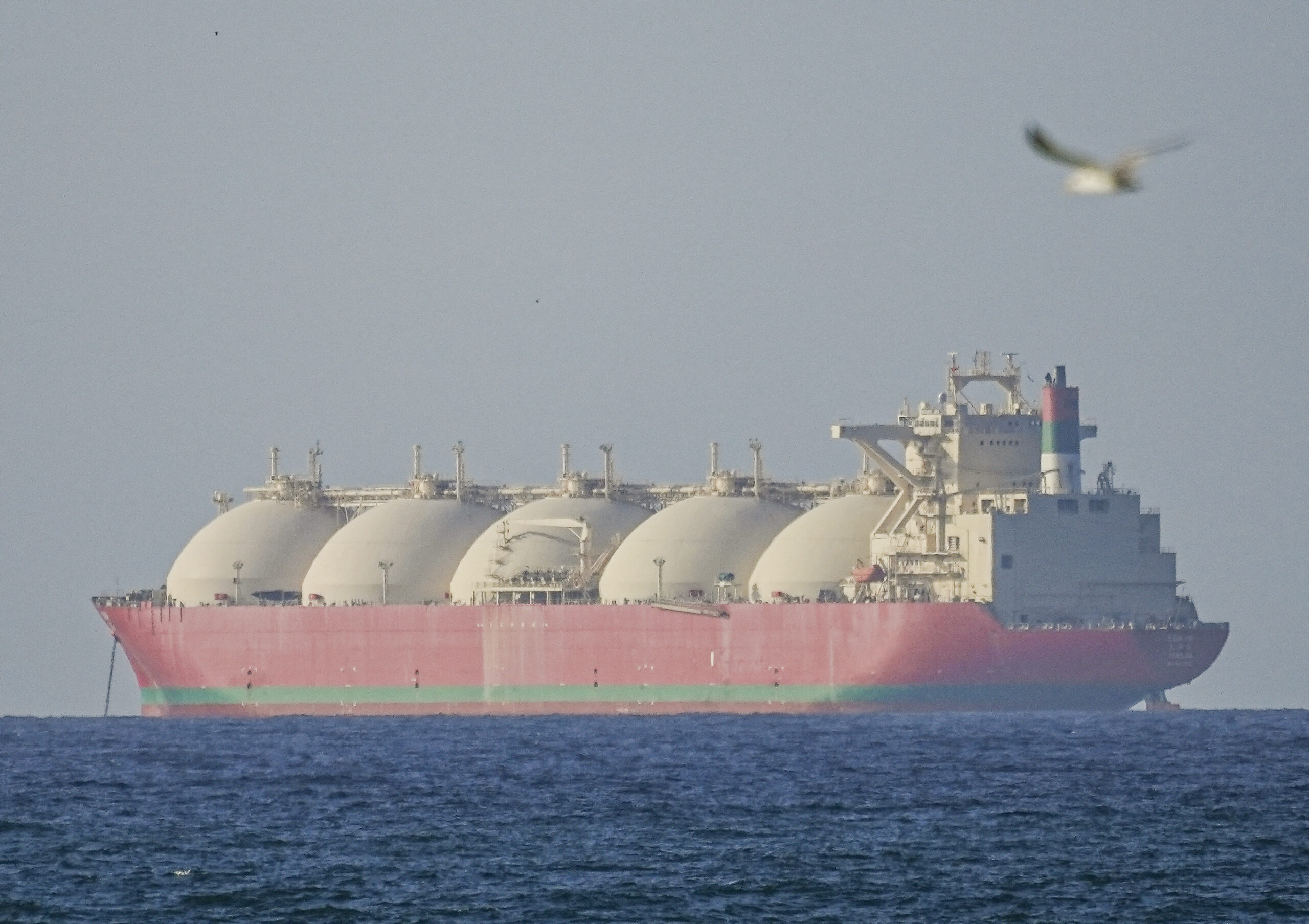 Patru marinari români, sechestrați de Iran în Strâmtoarea Ormuz la bordul navei MSC Francesca — image 3