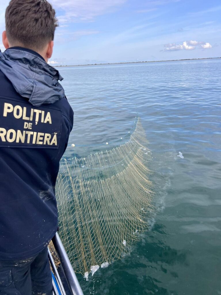 Sturioni braconați în Marea Neagră. Garda de Coastă a găsit plase ilegale de sute de metri
