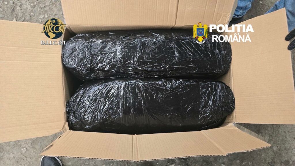 Captură la Târgu Mureș: doi bărbați arestați după ce au adus peste 13 kilograme de canabis din Spania