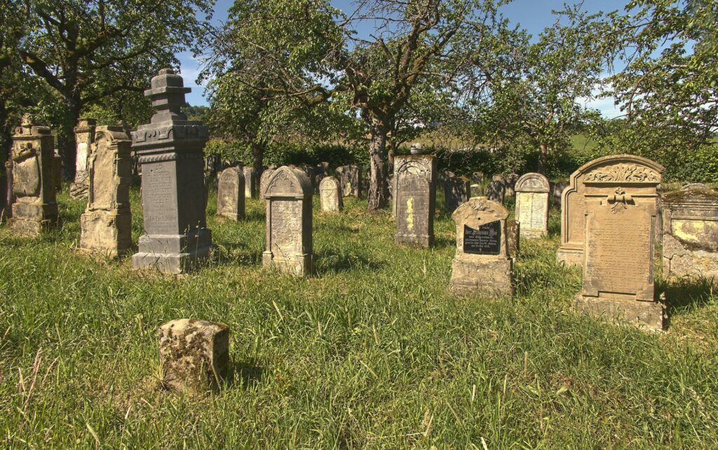 Fenomen rar sub solul unui cimitir. Peste 5 milioane de albine trăiesc acolo de mai bine de un secol