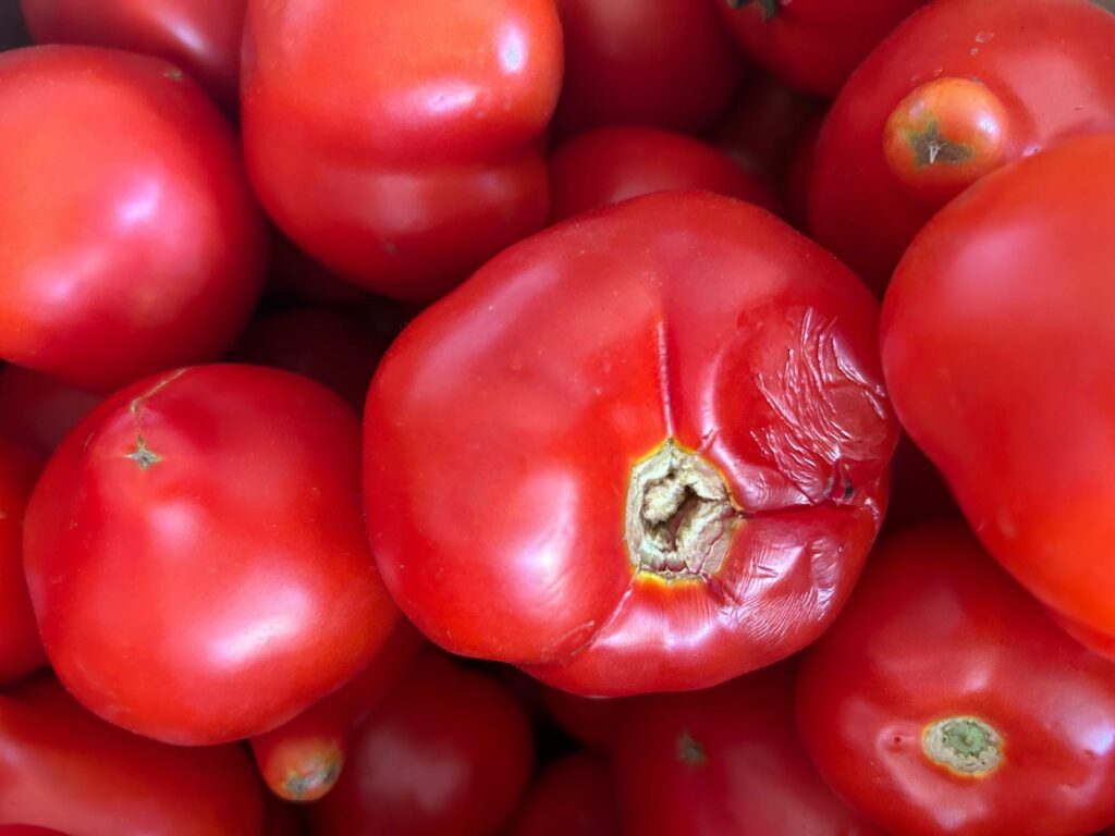ANPC: nereguli la 121 de tone de legume într-o singură platf