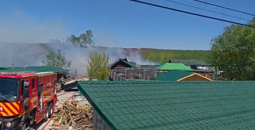 Incendiu la o grădină zoologică din Suceava. Animale salvate din flăcări, două exemplare au murit