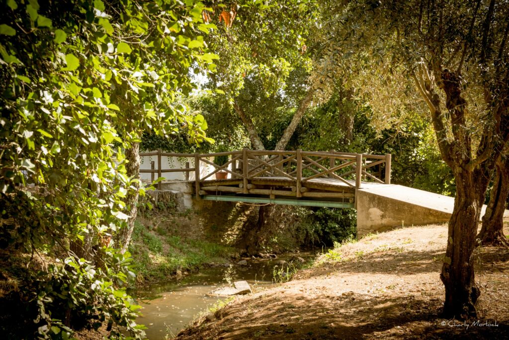 În Europa există un loc unde „călătoria în timp” pare reală. În câteva secunde ajungi într-o altă țară și într-un alt fus orar