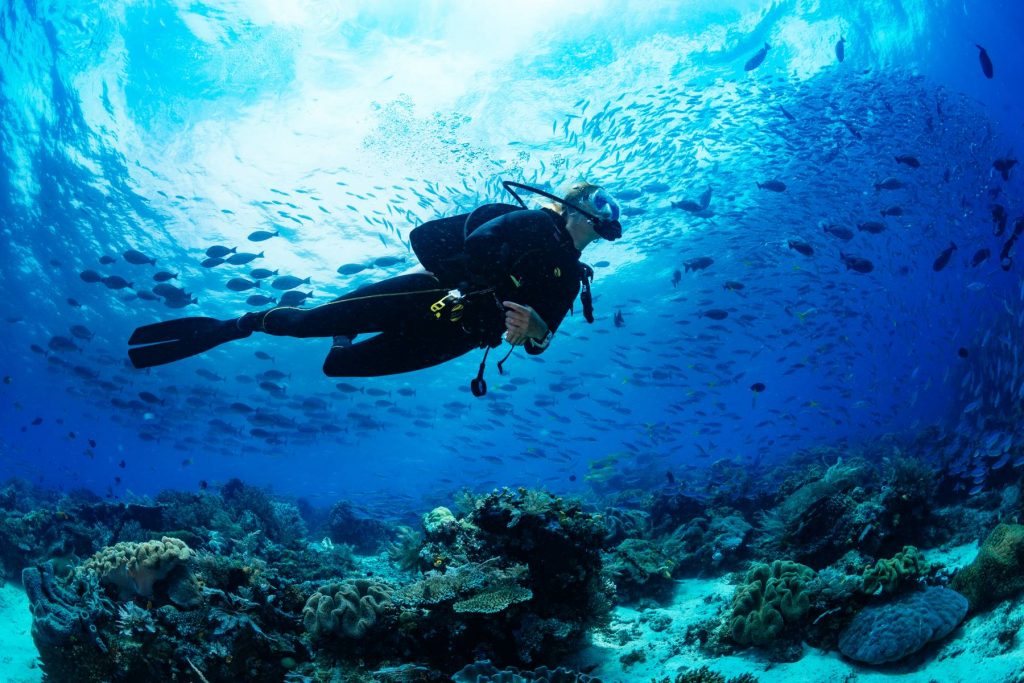 Accident la diving în Maldive: cinci italieni și-au pierdut viața. 112 turiști au pierit în incidente maritime în ultimii 6 ani