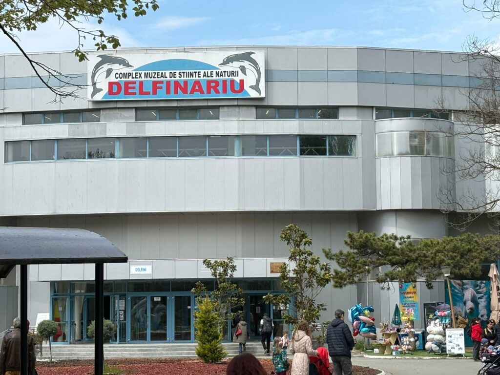 Cozi la Delfinariul din Mamaia în minivacanța de 1 Mai. Cât plătesc turiștii pentru un bilet