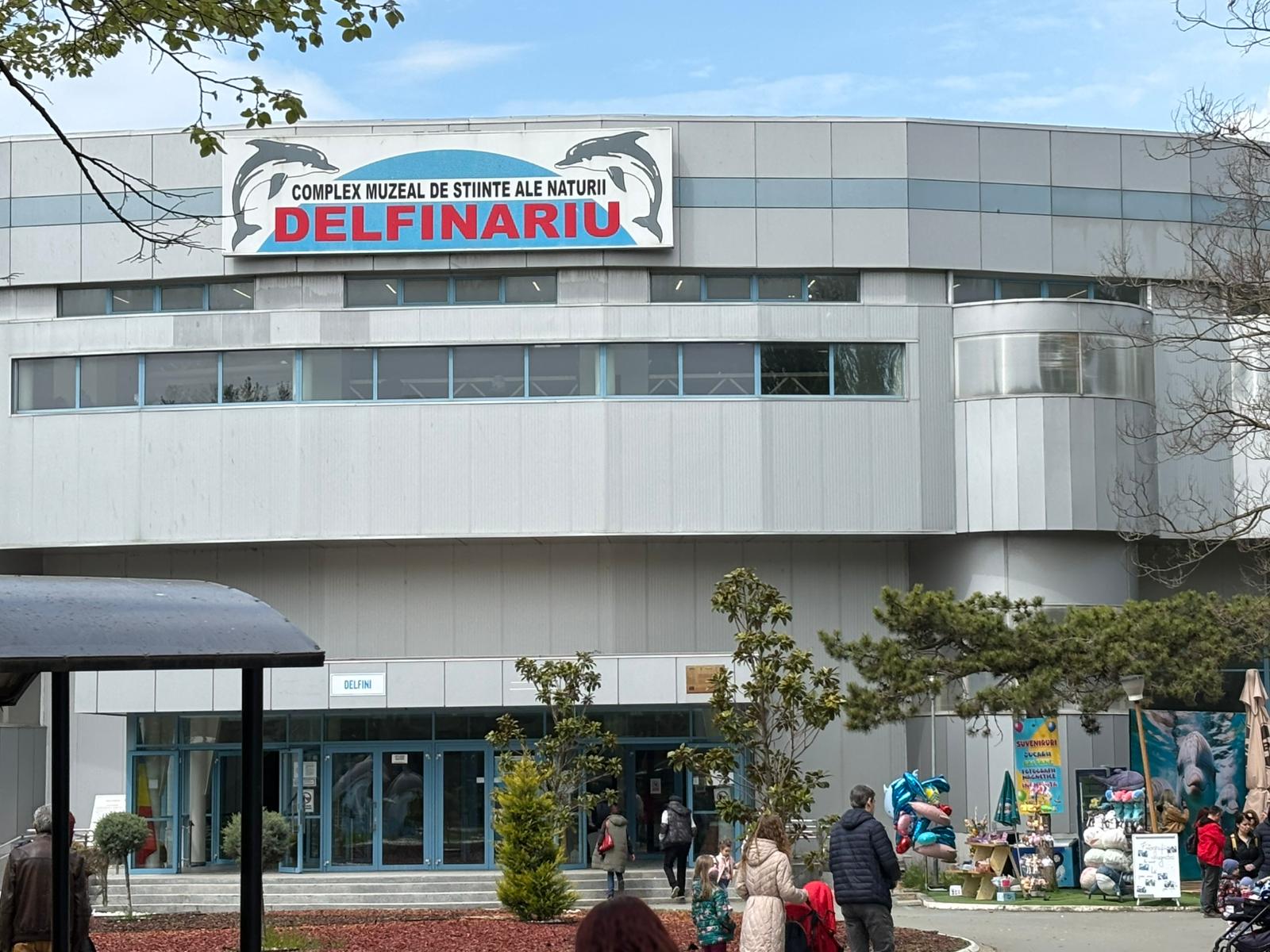 Cozi la Delfinariul din Mamaia în minivacanța de 1 Mai