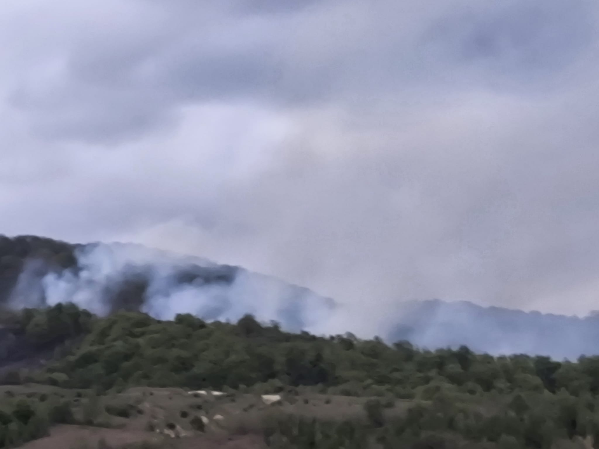 Poza pentru articolul UPDATE: Incendiu de vegetație în Caraș-Severin. Elicopter Black Hawk, trimis să stingă focarele din Slatina-Timiș