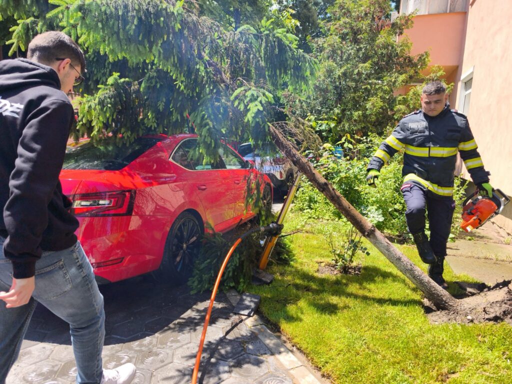 Furtuna a făcut prăpăd în Iași. Un copac s-a prăbușit peste un autoturism