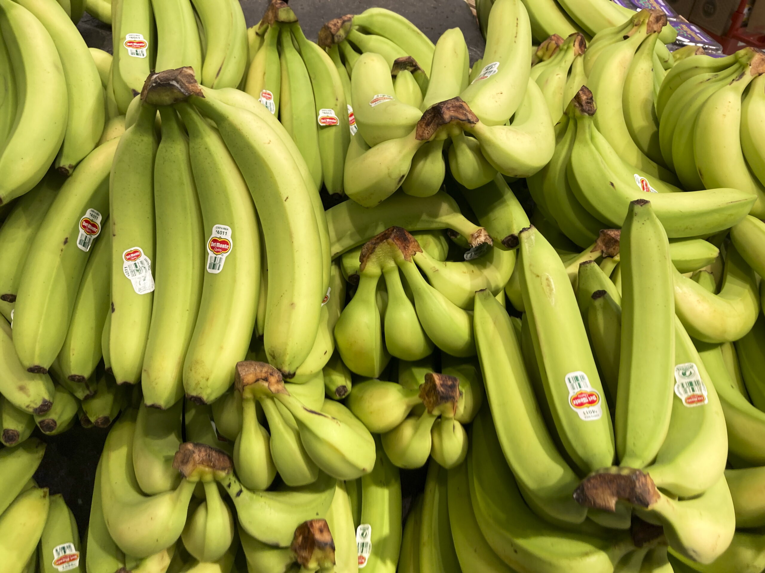 O banană de milioane furată dintr-un muzeu din Franța