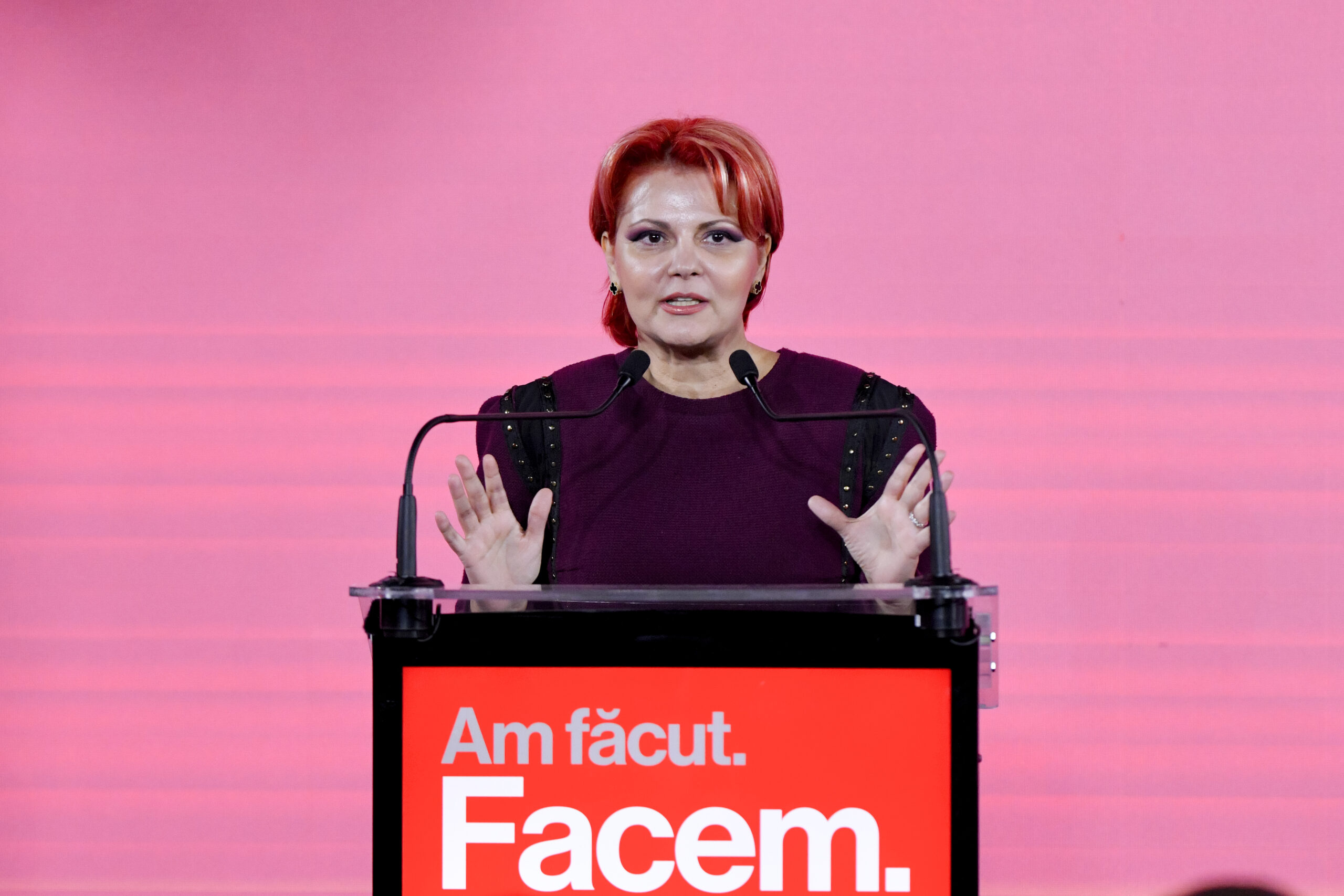 Olguța Vasilescu, despre legea salarizării unitare
