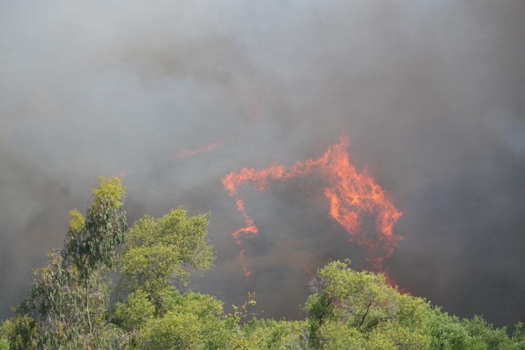 Alertă de nivel 2 în Spania, în urma unui incendiu de vegetație care a ars 330 de hectare. Mai mulți oameni sunt evacuați