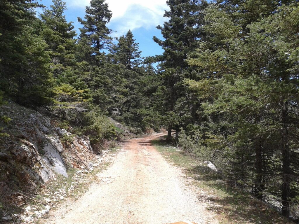 Aventura unor turiști români în drum spre vacanța din Grecia