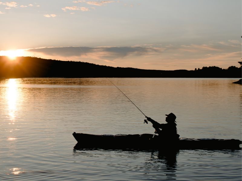 Pescuitul la crap, între hobby de weekend și strategie: cum 