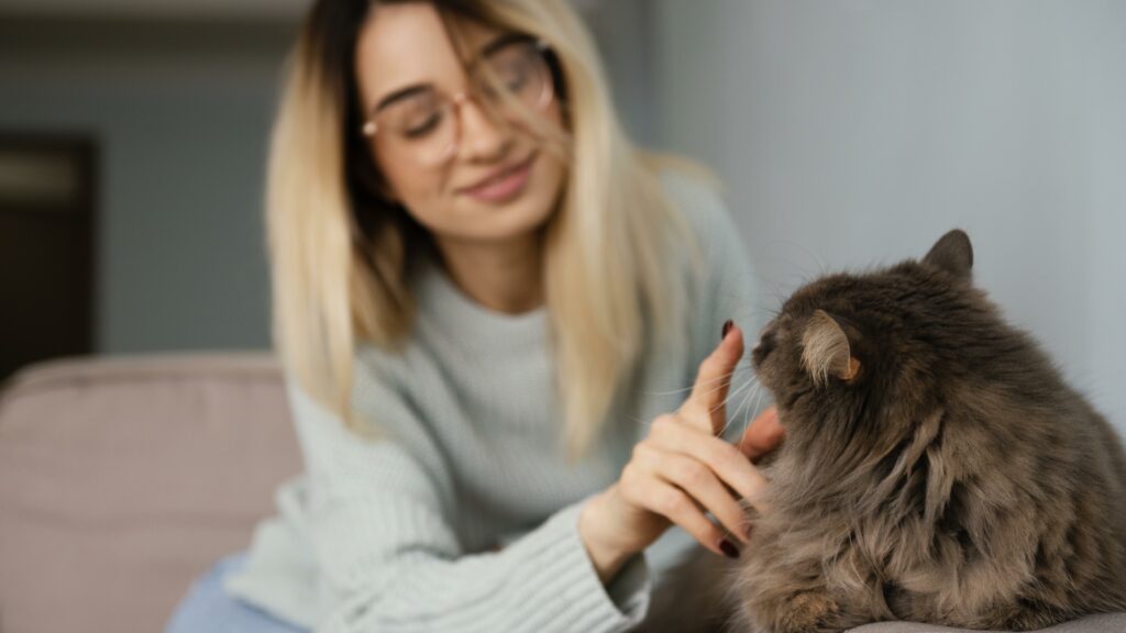 Dacă mângâi mereu pisicile, psihologii spun că ai 