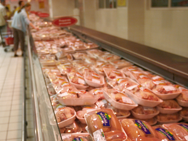 80% din primul lot de pui brazilian importat în UE prin acordul Mercosur, contaminat cu Salmonella