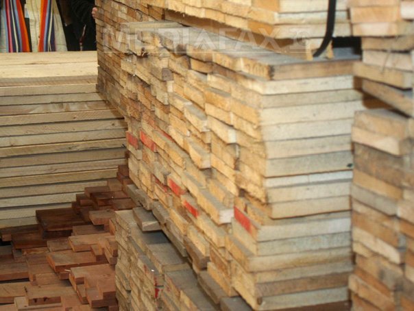 Dosar amplu de evaziune fiscală de 2 milioane de lei în domeniul forestier. 13 inculpați, plasați sub control judiciar