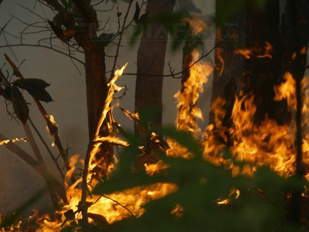 Atenționare de călătorie în Portugalia din cauza incendiilor de vegetație