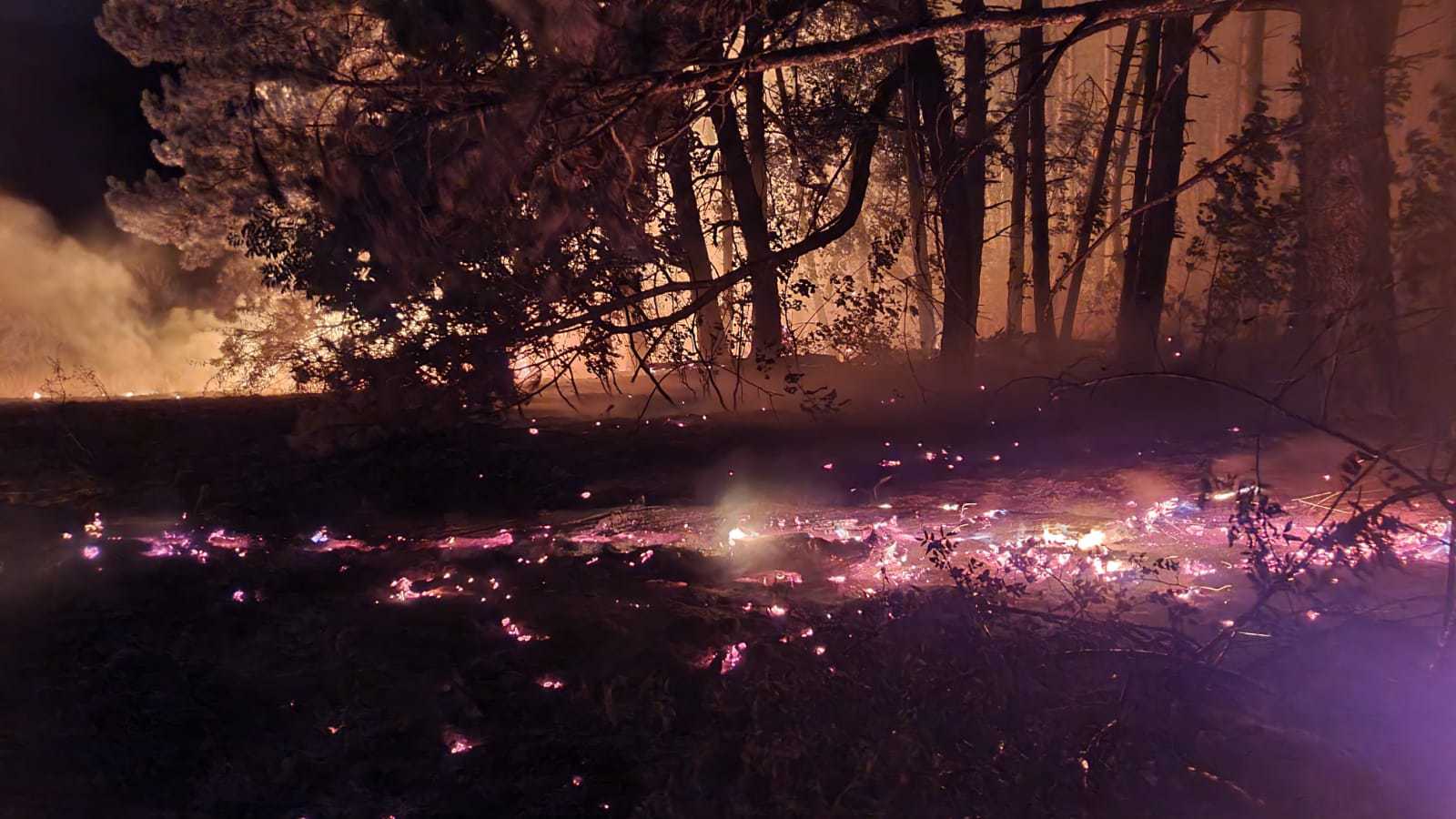 Incendiu uriaș în Cipru. Case distruse, cadavre găsite în mașini carbonizate
