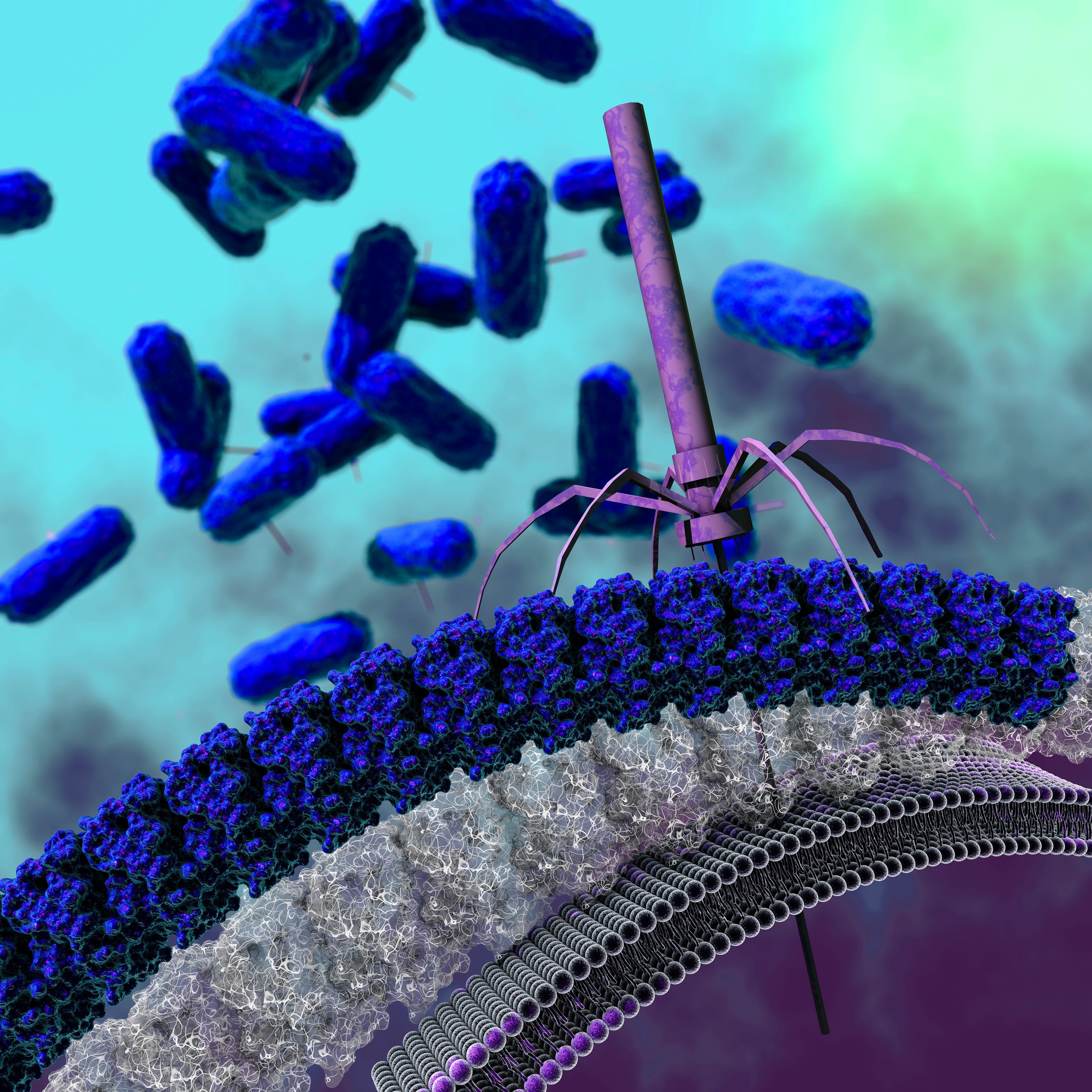 Cazurile de „bacterii de coșmar” sunt în creștere în Statele Unite