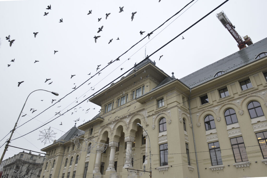 Intensificarea Supravegherii Benzilor Unice STB în București: Camere Video și Sancțiuni pentru Șoferii Abuzivi. Autoritățile Capitalei Promit Măsuri Drastice pentru Fluidizarea Traficului Public și Respectarea Legislației în Vigoare.