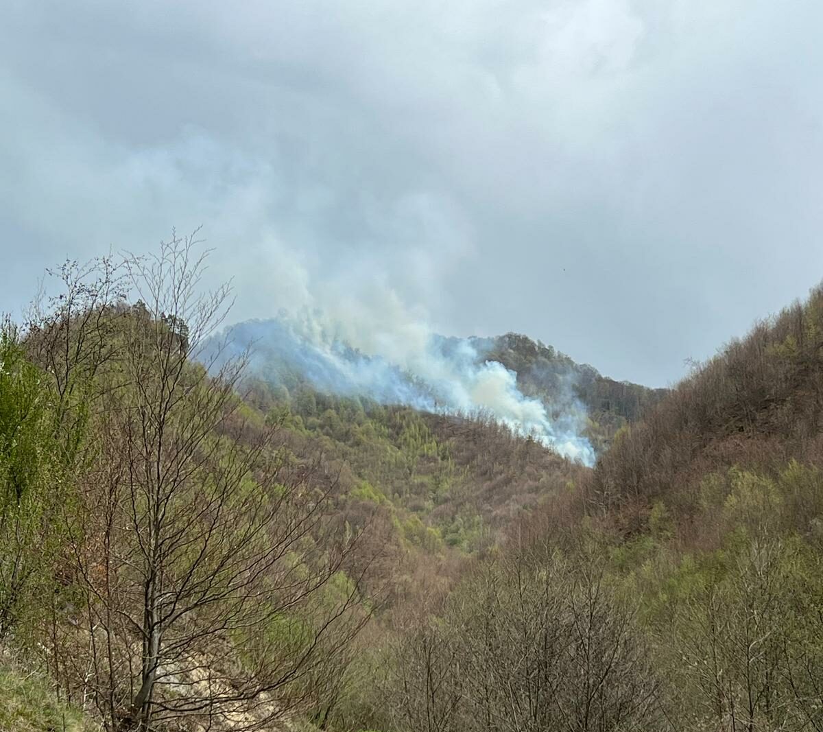 Incendiul de pădure din Argeş s-a extins pe aproape 24 de hectare
