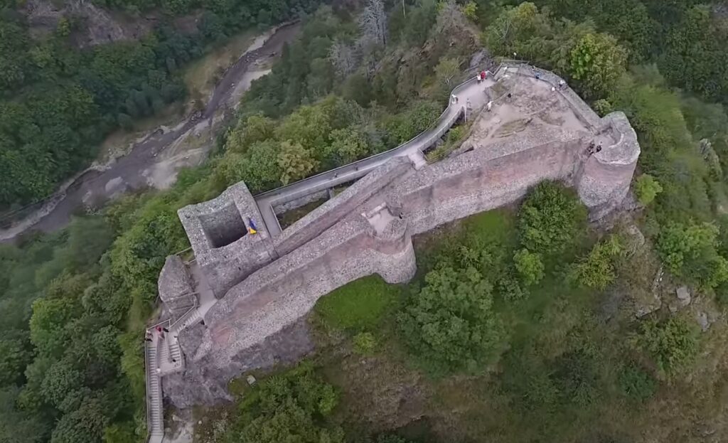 Cetatea Poienari se va redeschide marți după capturarea ursoaicei care rupse gardul electric