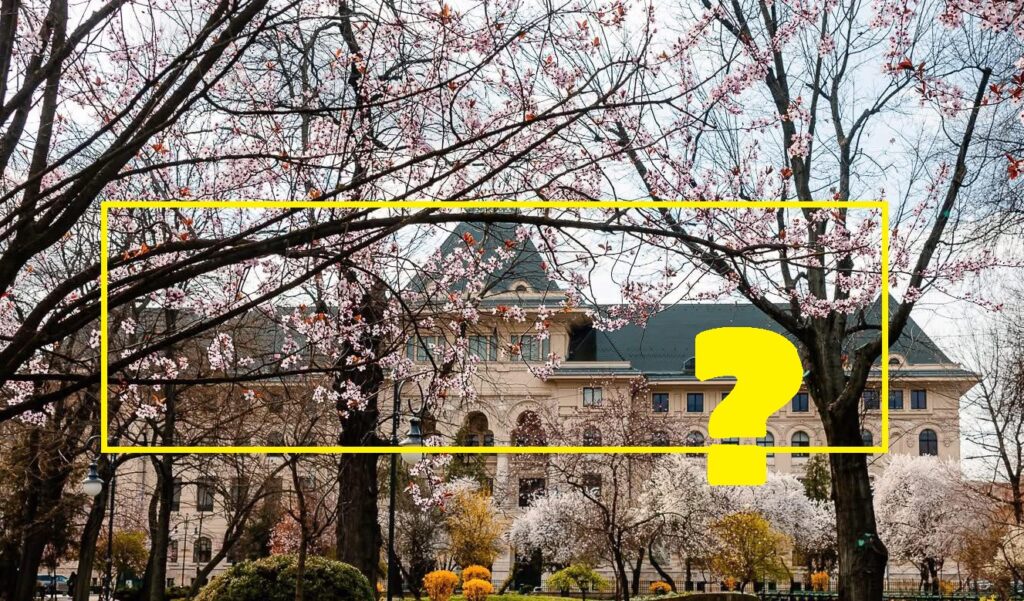 Care sunt posibilii candidați pentru funcția de primar al Capitalei