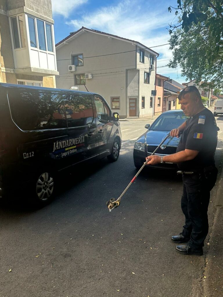 Şerpi în apropierea unui restaurant din Orşova şi într-o scară de bloc din Drobeta Turnu Severin
