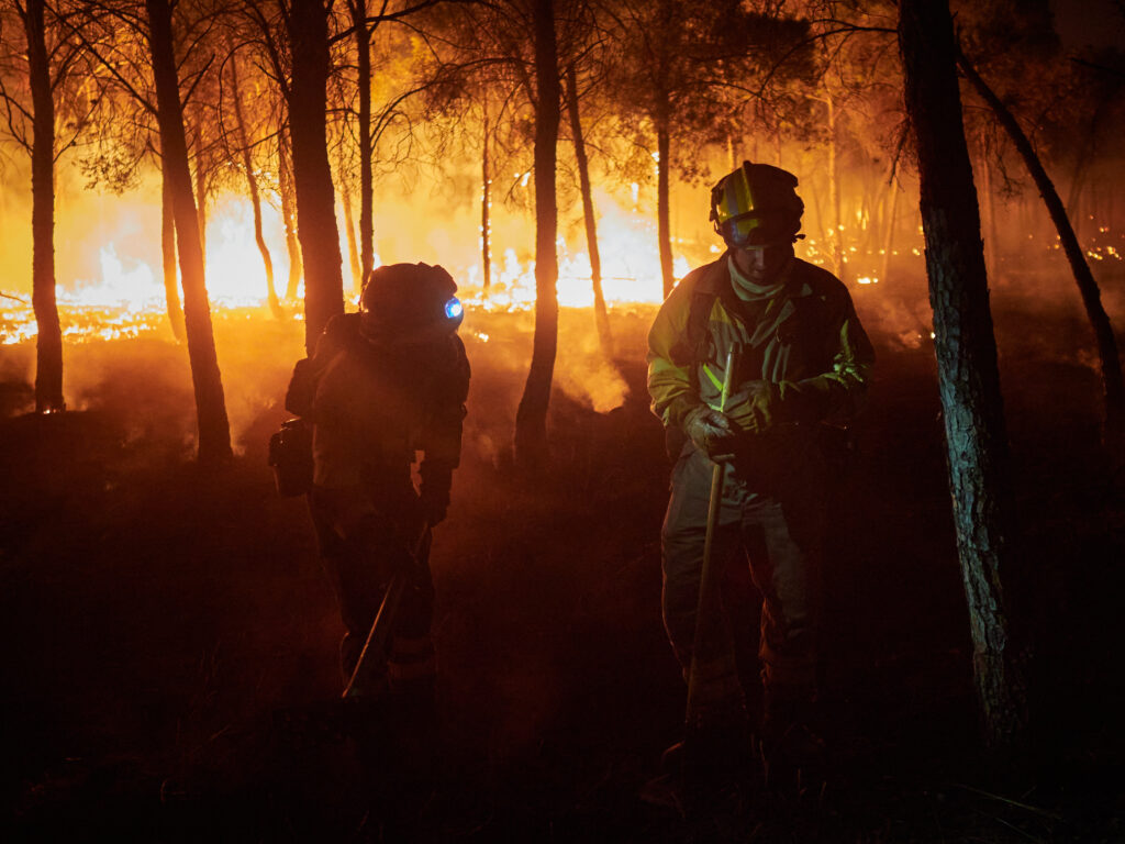 Atenționare de călătorie în SUA din cauza unor incendii de vegetație