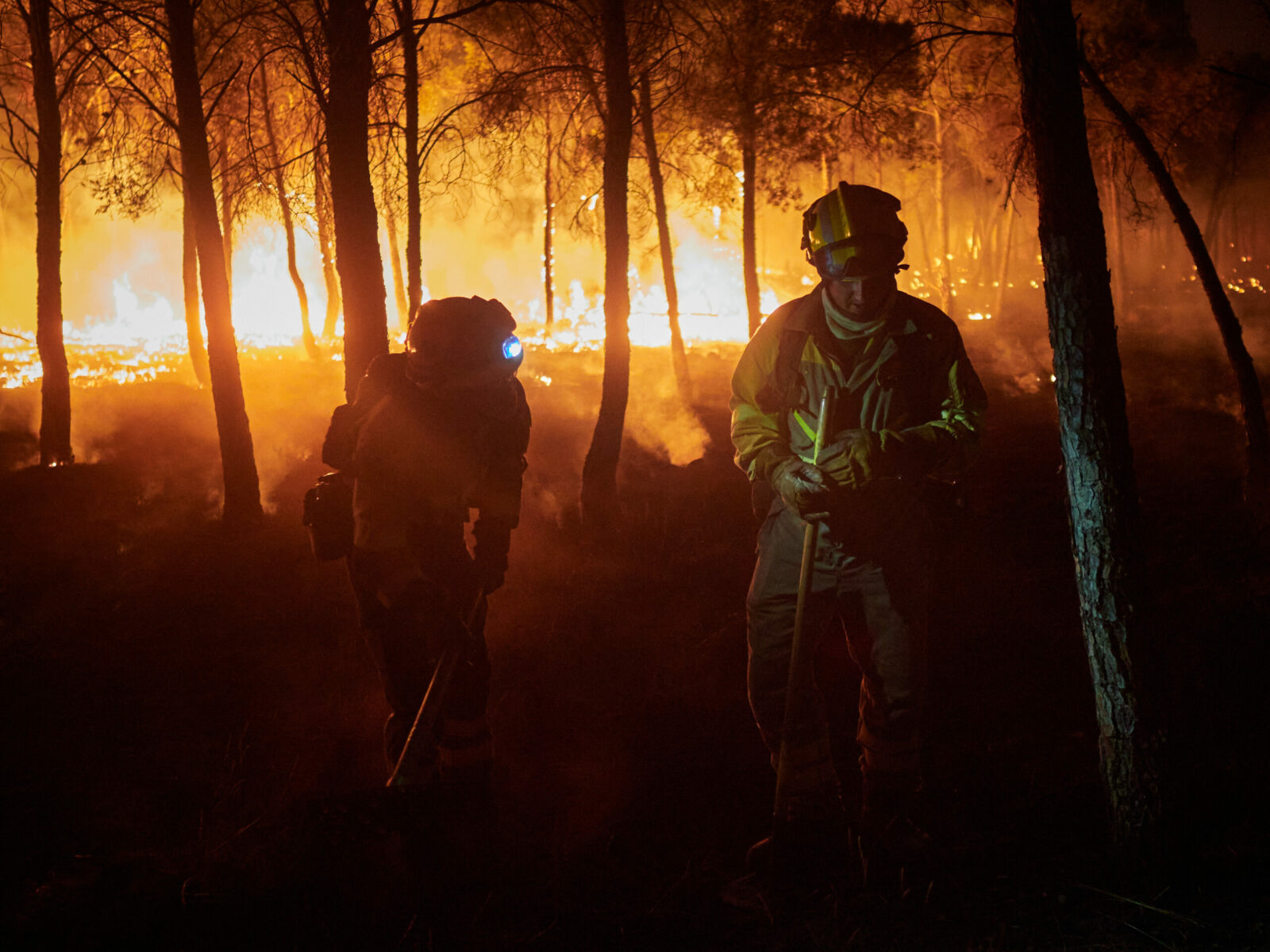 MAE avertizează românii despre incendii majore în SUA
