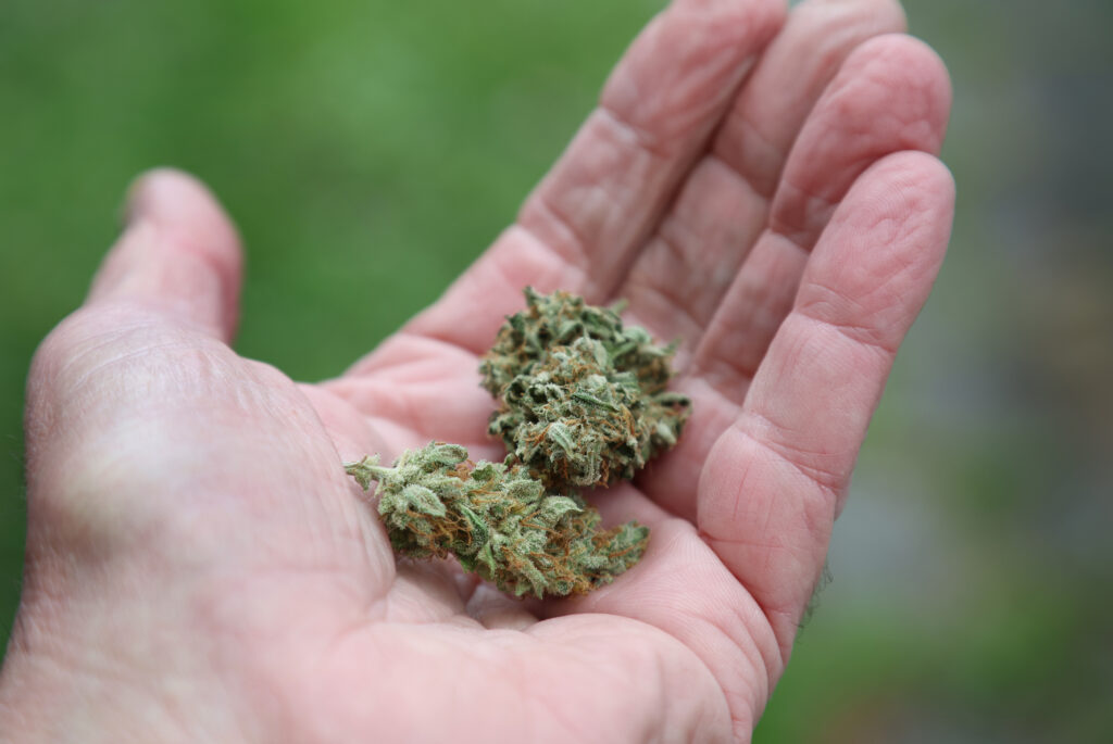 Au trimis 1,4 tone de cannabis prin curier. Zece suspecți au fost arestați în Franța și Spania