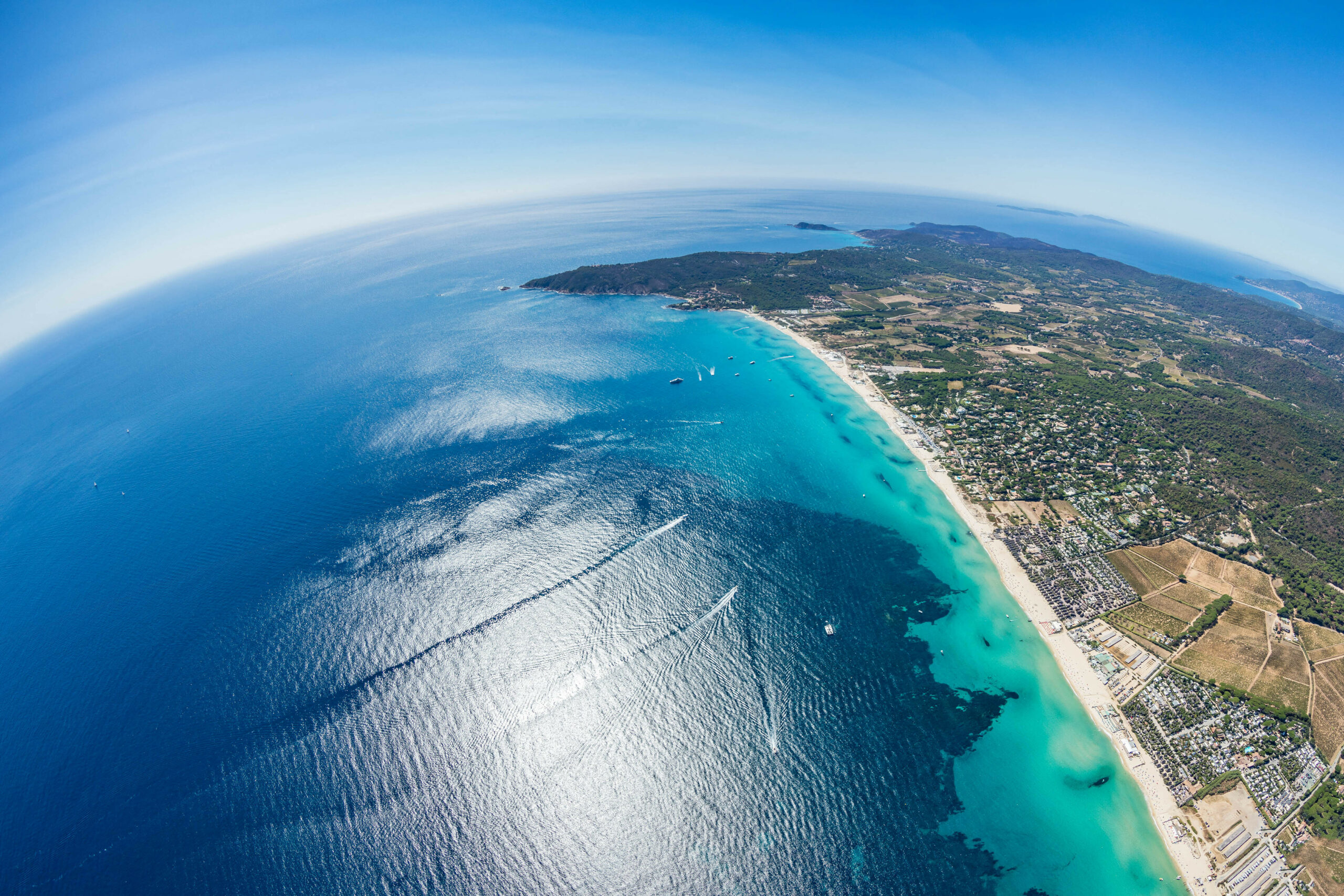 Grecia, sub alertă: Peștele-iepure și bacteria Vibrio amenință plajele