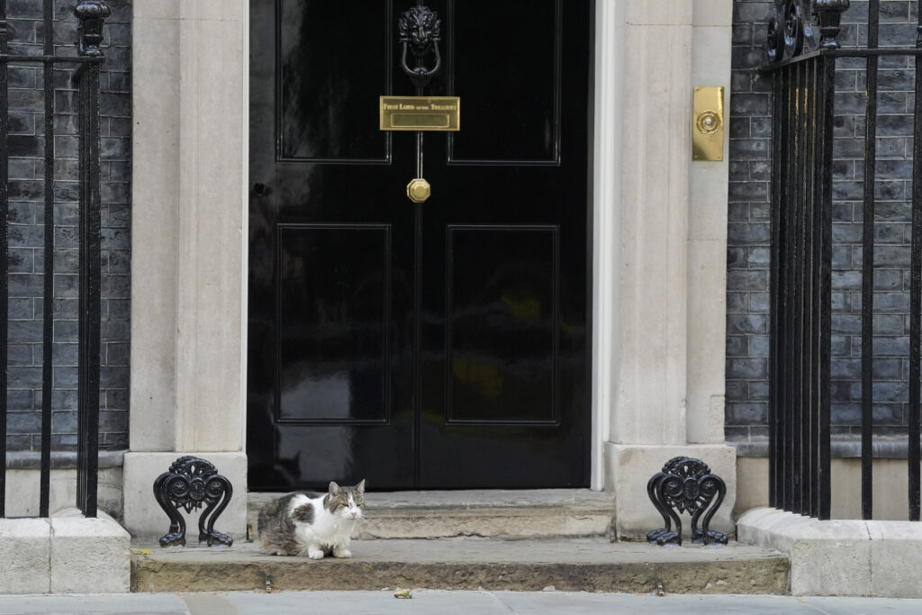 Mai rezistent decât premierii britanici. Larry, motanul de la Downing Street, bifează încă un mandat