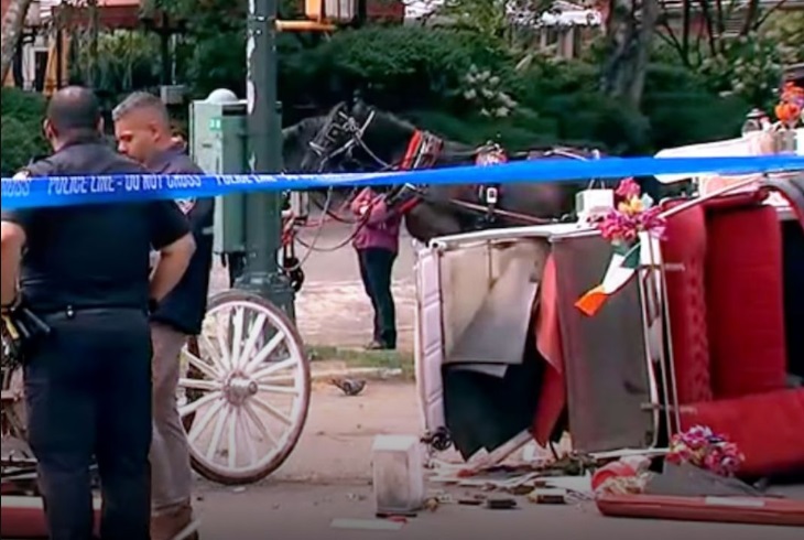New York: Un adolescent de 18 ani a murit după ce a fost aruncat dintr-o trăsură scăpată de sub control în Central Park