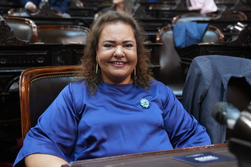 VIDEO: Deputat din partidul lui Javier Milei – Ce ar putea învăța Argentina de la România