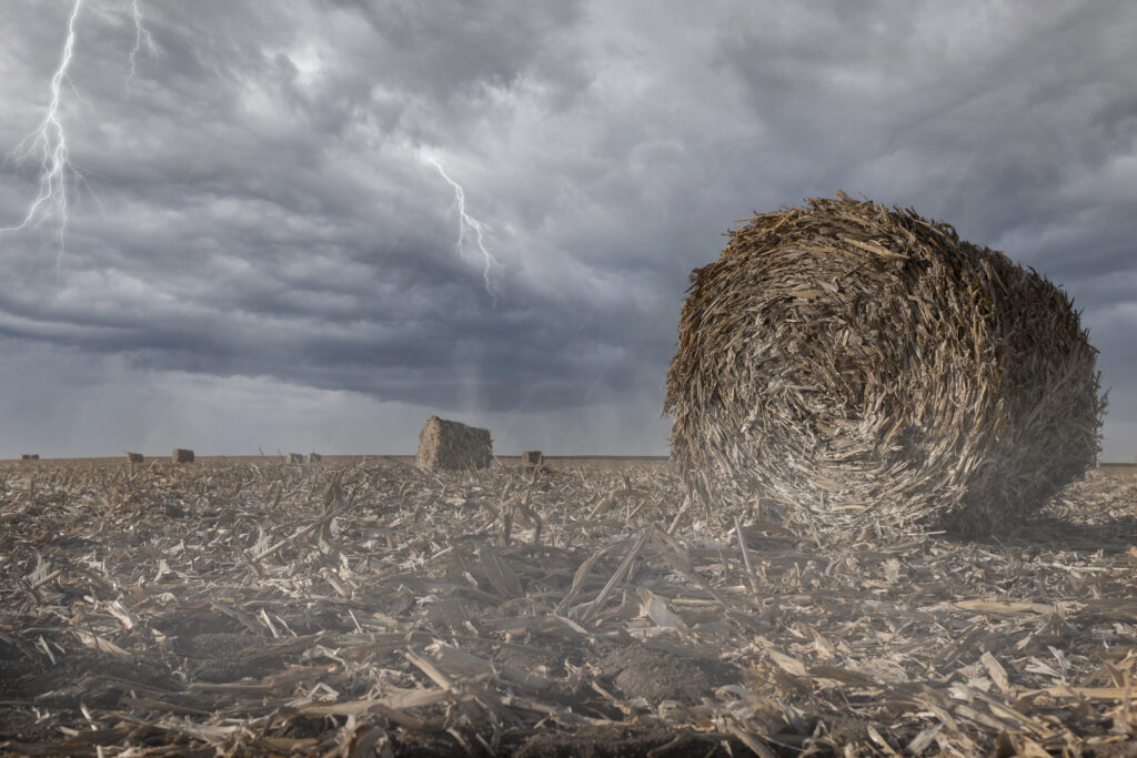 „Super El Niño: Impactul asupra vremii și climei globale”