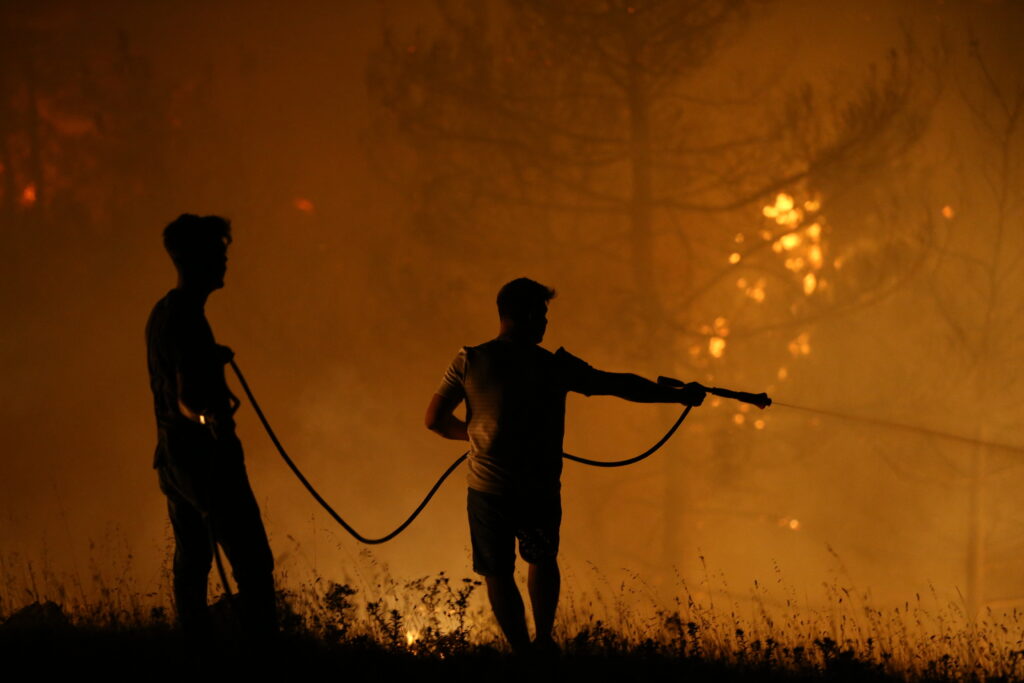 Franța: Inițiativă majoră de regenerare a pădurii Fontainebleau afectată de incendii, după modelul Catedralei Notre-Dame