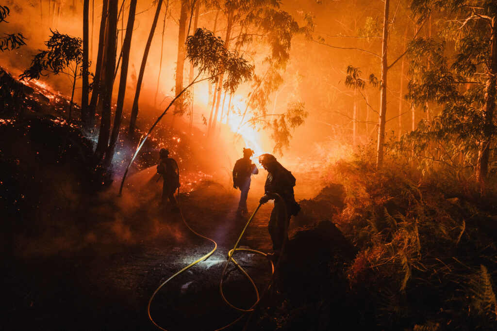 Spania: Incendiile de vegetație au ars aproximativ 50.000 de hectare de teren în ultimul an