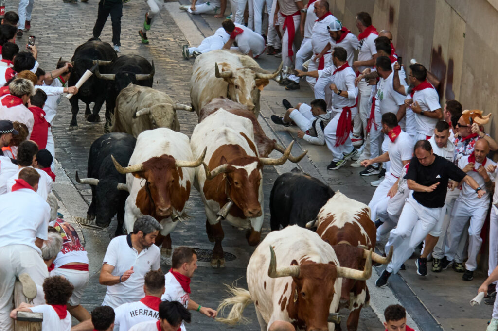 Spania: A început prima cursă de tauri din Pamplona. Trei participanți au fost duși la spital