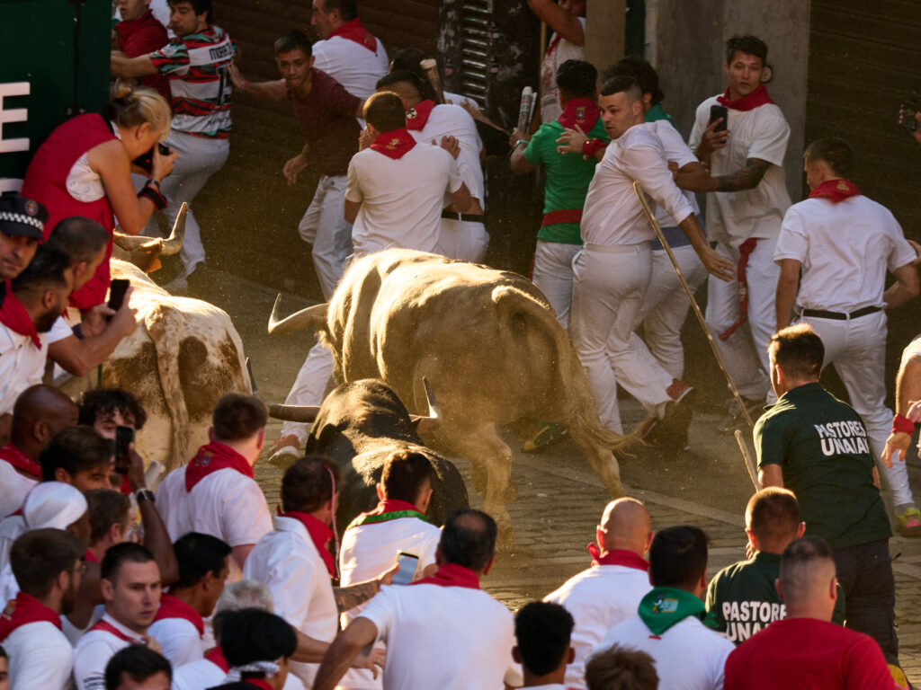 Doi spanioli au fost răniți de tauri la încheierea festivalului de la San Fermin