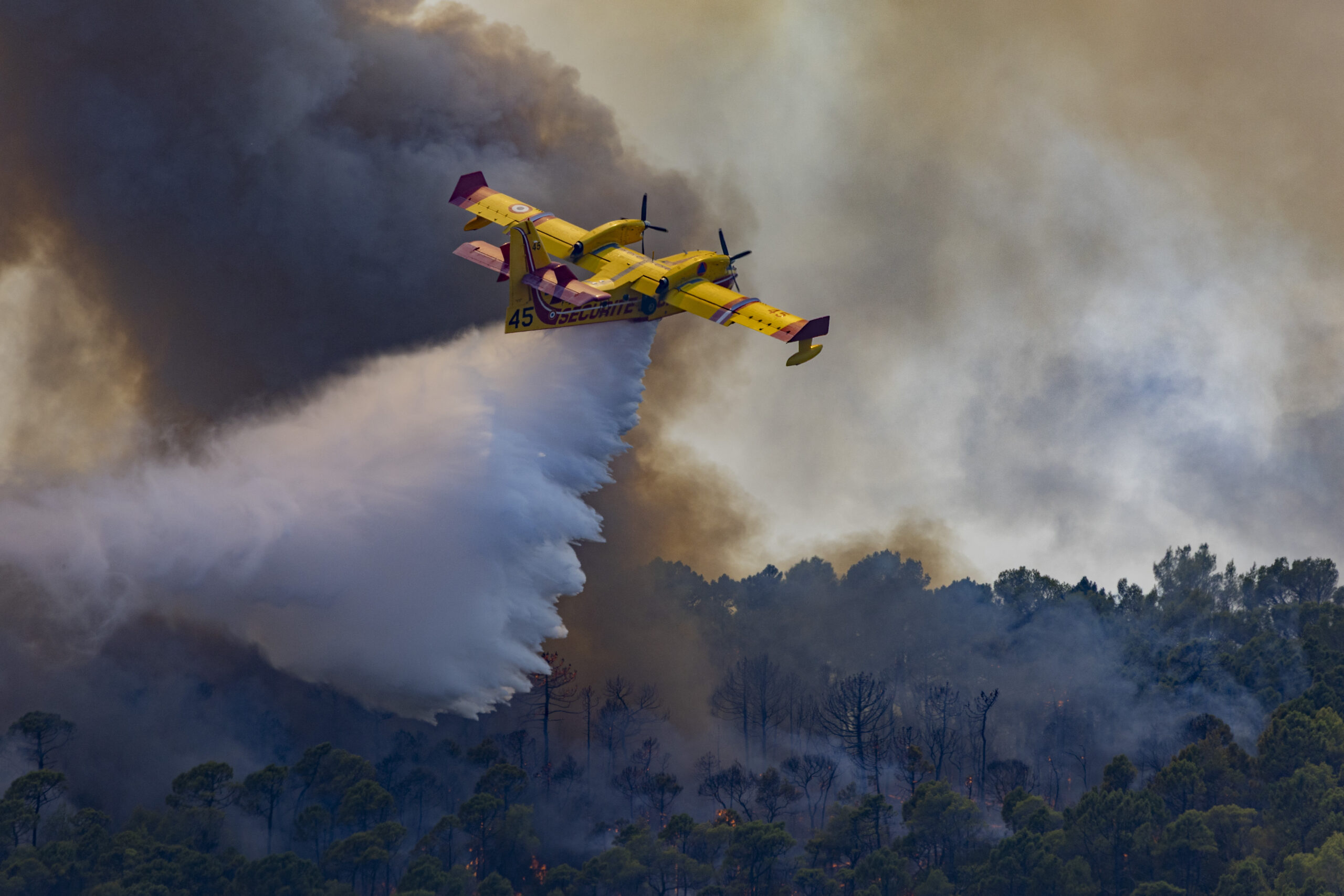 OMS: Incendiile de vegetație au crescut cu 57% în Europa din 2022