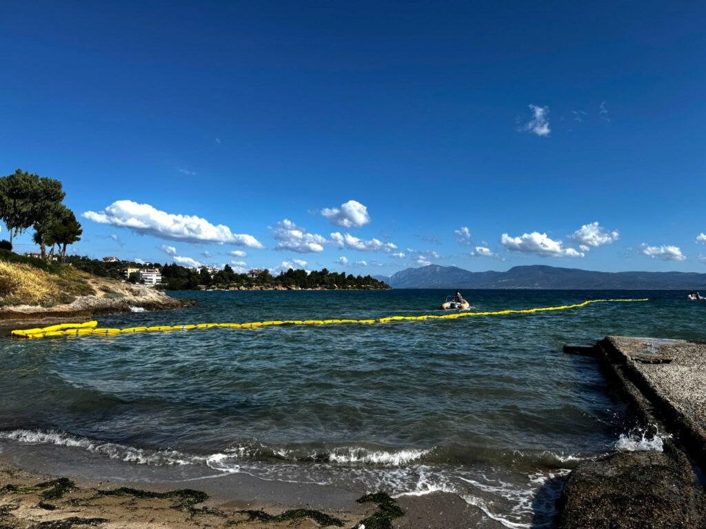 Măsură neobișnuită în Grecia: bariere plutitoare pentru a opri un pește toxic