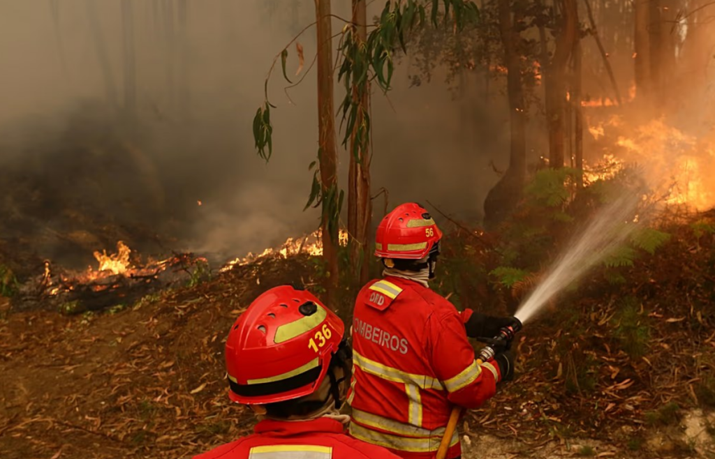 UE trimite avioane și sute de pompieri pentru a face față incendiilor devastatoare din Portugalia și Franța