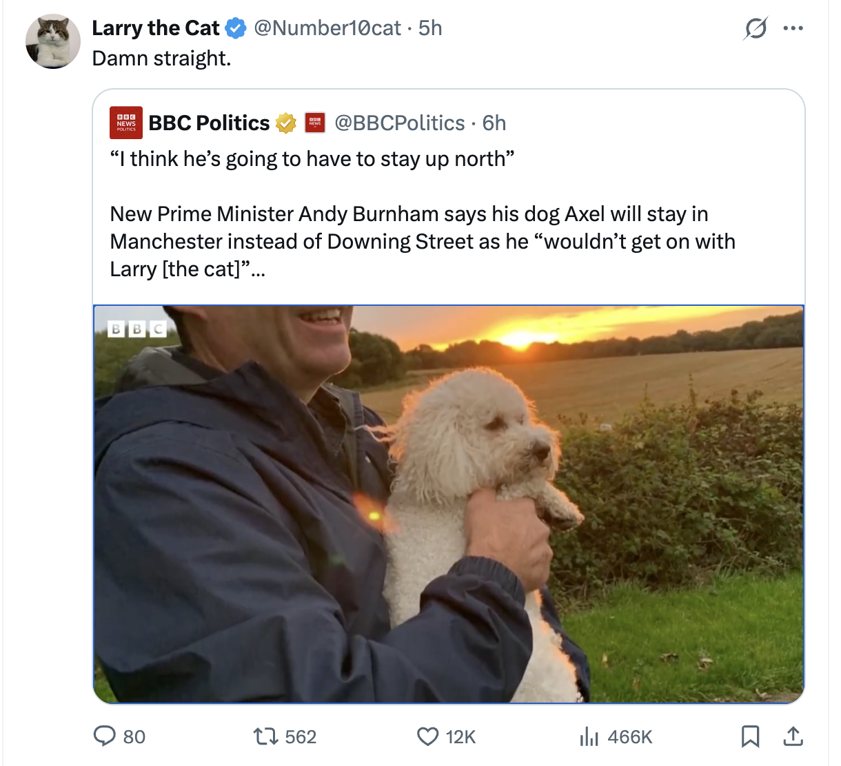 Pisica Larry rămâne șefa în Downing Street. Premierul UK nu își aduce câinele Axel la reședință
