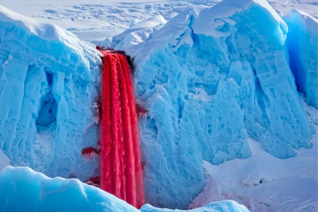 O lume care nu a văzut niciodată lumina Soarelui, ascunsă în Cascadele de Sânge din Antarctica