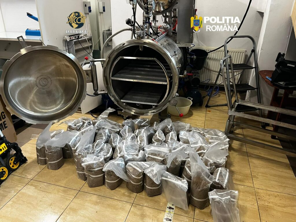 Rețea de trafic cu ciuperci halucinogene, destructurată de DIICOT. Trei persoane au fost reținute